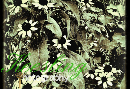 CA 08161222561634-2030077296-O