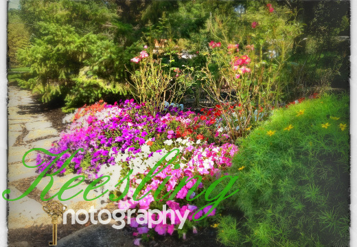 CA 08221211112641-2040803167-O