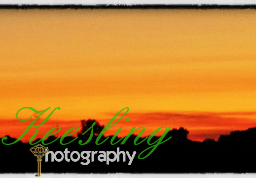 CA 08221223273006-2042057518-O