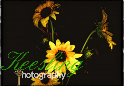 CA 08291201515651-2054401231-O