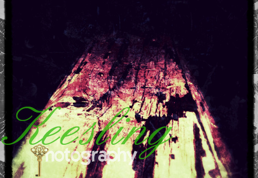 CA 08291201535000-2054403869-O