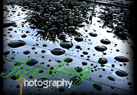 Pic 07-24-2012-1984669330-O