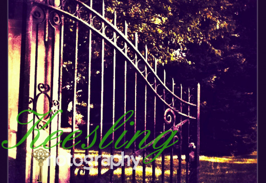 Pic 07-28-2012-1992712372-O