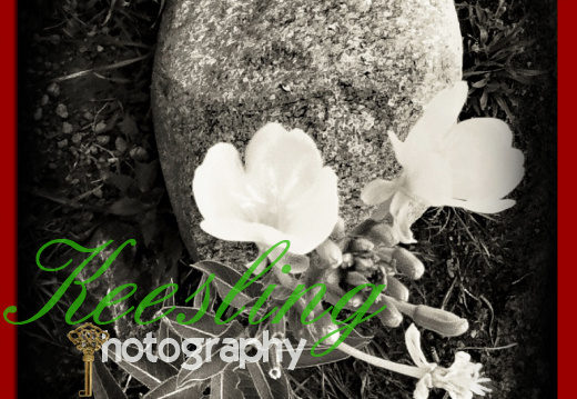 Pic 07-27-2012-1990394112-O