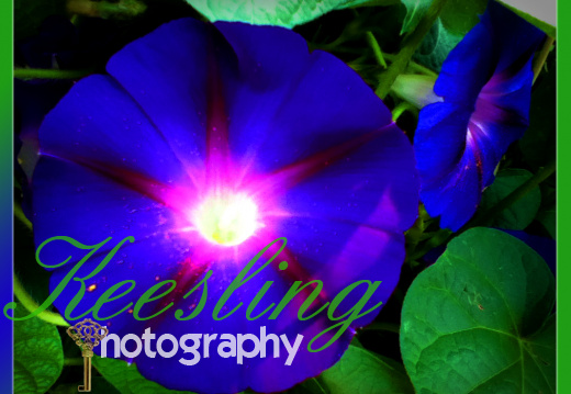 Pic 07-30-2012-1995892952-O