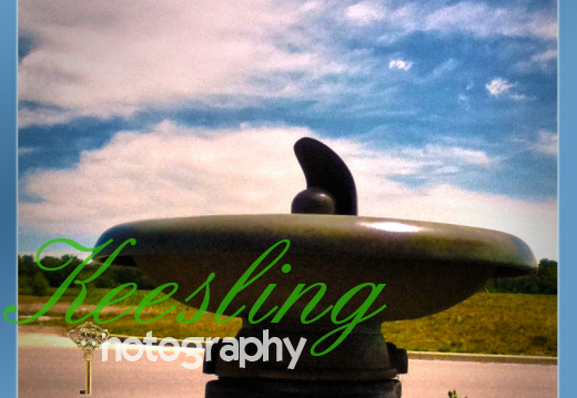 Pic 07-31-2012-1998449299-O