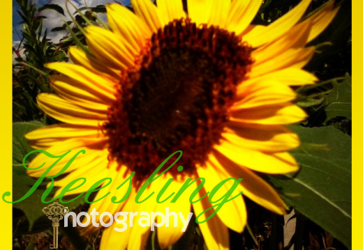 Pic 07-29-2012-1993799061-O