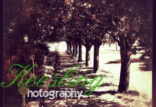 Pic 08-02-2012-2002125764-O