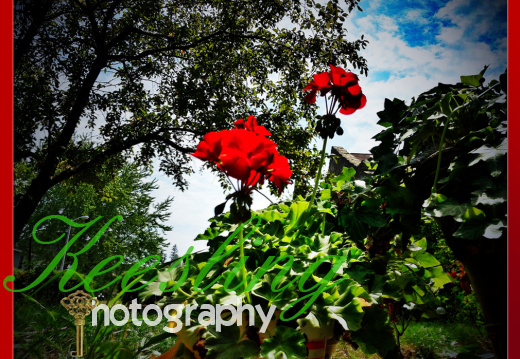 Pic 08-03-2012-2004795143-O