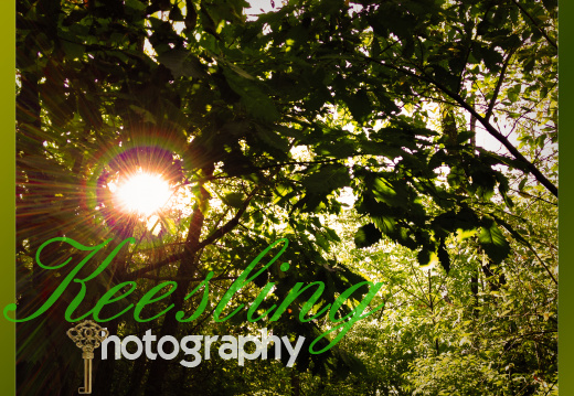 Pic 08-06-2012-2010158989-O