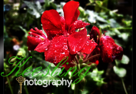 Pic 08-09-2012-2015732553-O