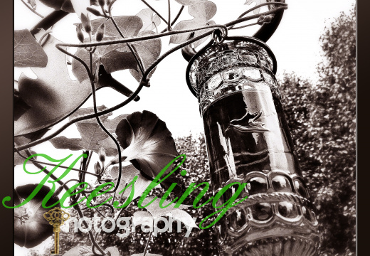 Pic 08-10-2012-2017356952-O