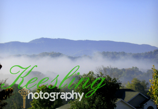 Misc pics Tennessee 2010 1784