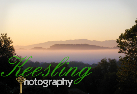 Misc pics Tennessee 2010 1033