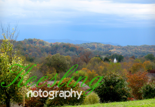 Misc pics Tennessee 2010 1243